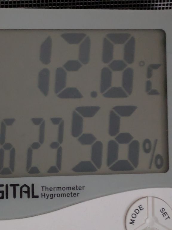 12.8℃の朝