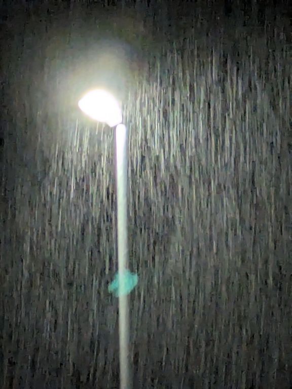 激しい雨