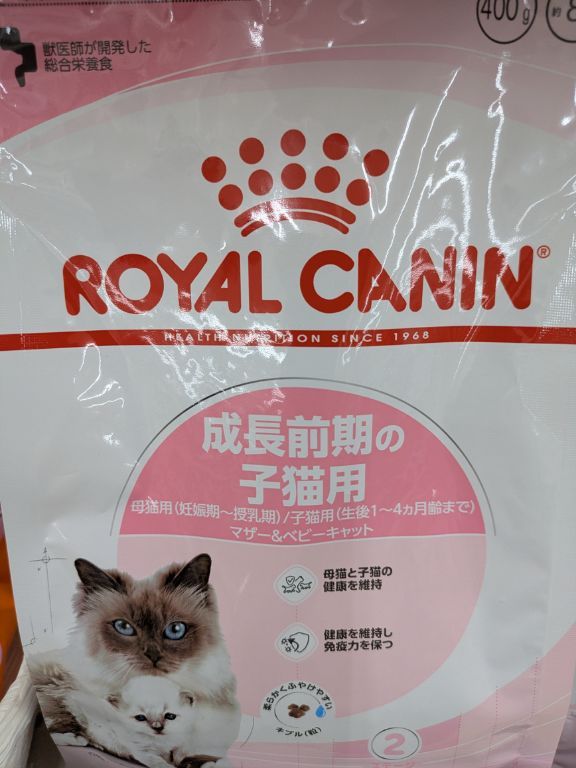 キャットフード　ロイヤルカナン　成長前期