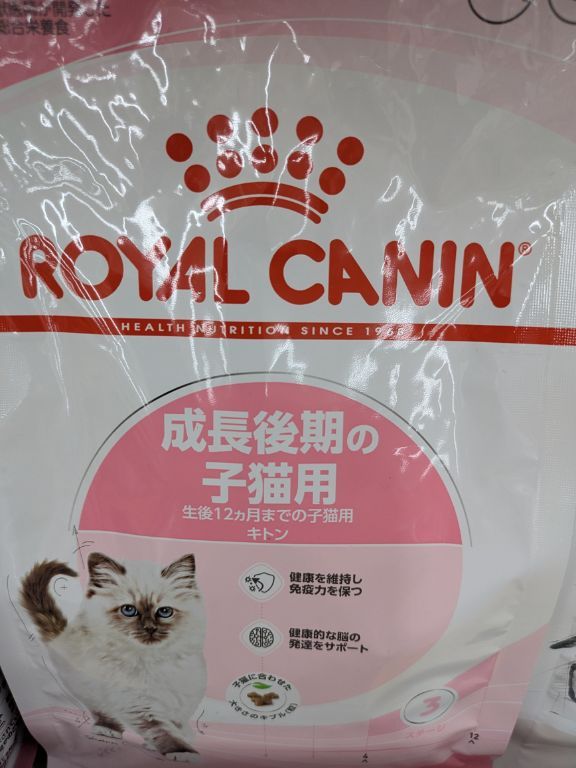 キャットフード　ロイヤルカナン　成長後期