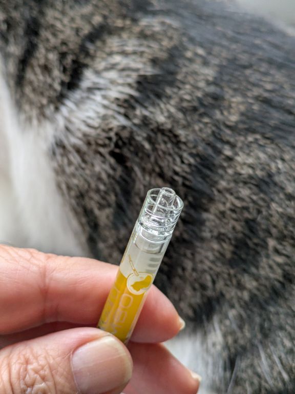 猫用内外部寄生虫駆除剤ネクスガード