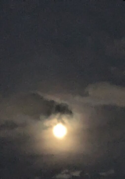 中秋の名月
