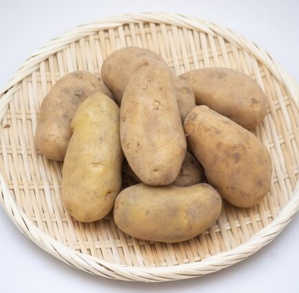 ジャガイモ　メークイン