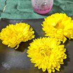 菊酒　重陽の節句