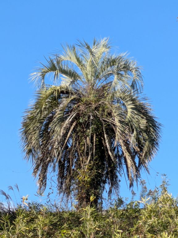 九州の高速道路
