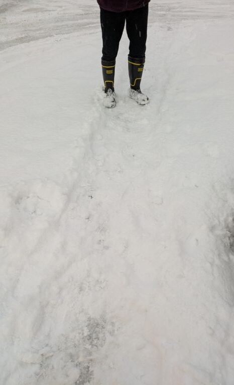朝の除雪 ご近所さんと