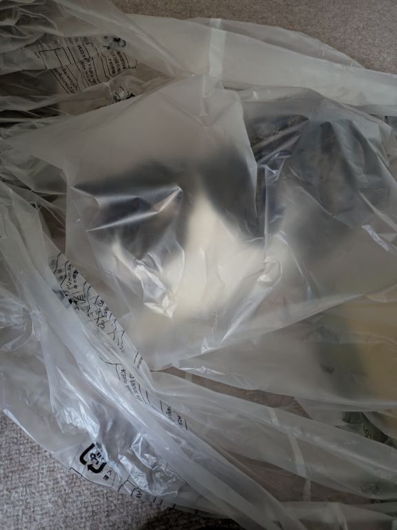 我が家の好奇心旺盛さん