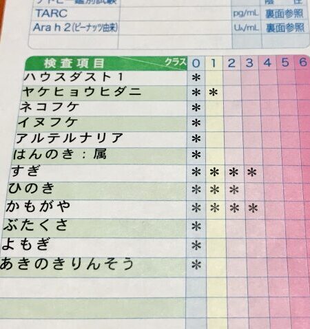 アレルギー検査