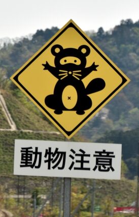 タヌキの標識　動物飛び出し注意