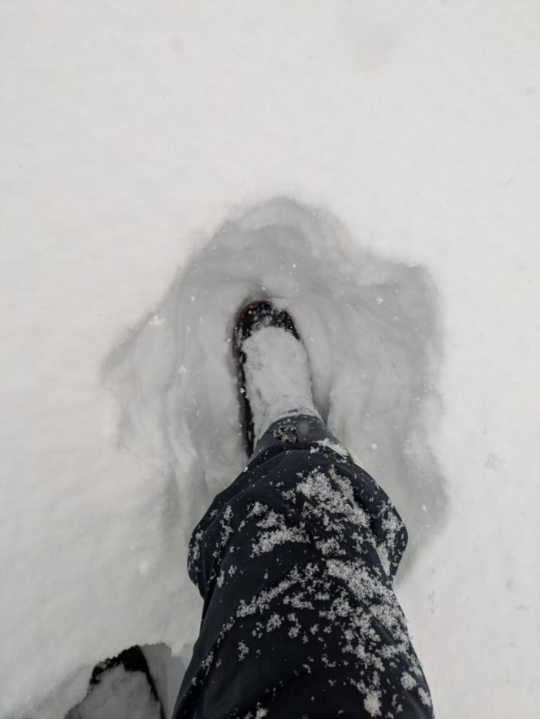 札幌に大雪警報発令