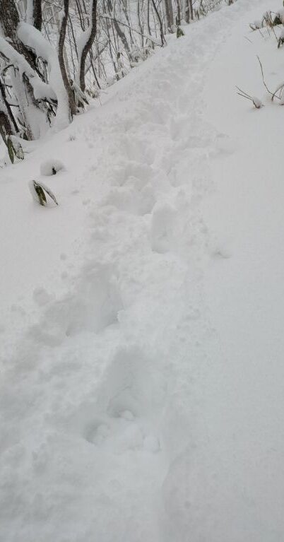 札幌に大雪警報発令