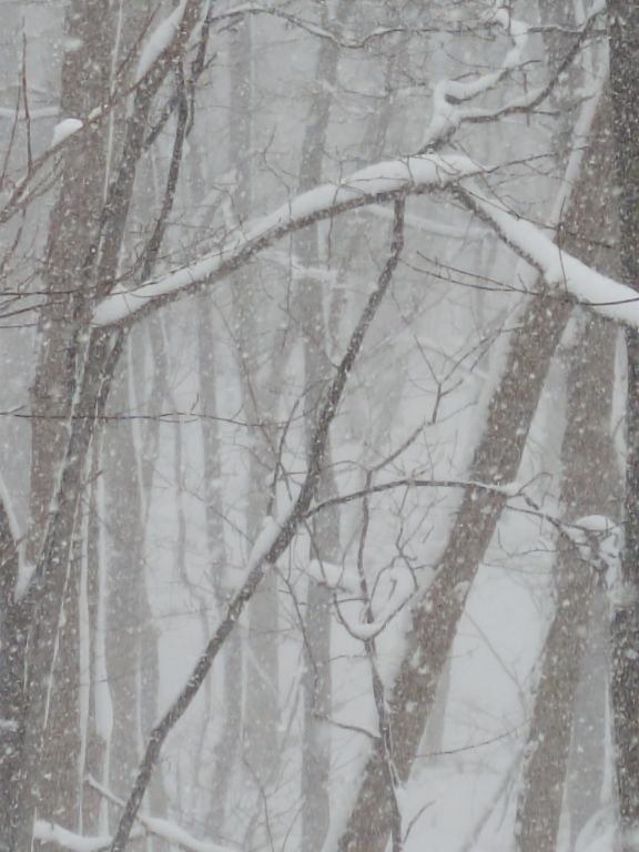 札幌に大雪警報発令
