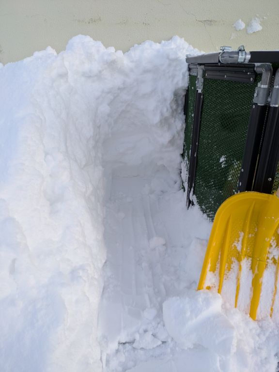 大雪警報の翌朝