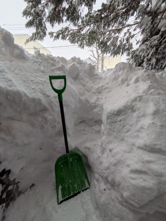 我が家の除雪