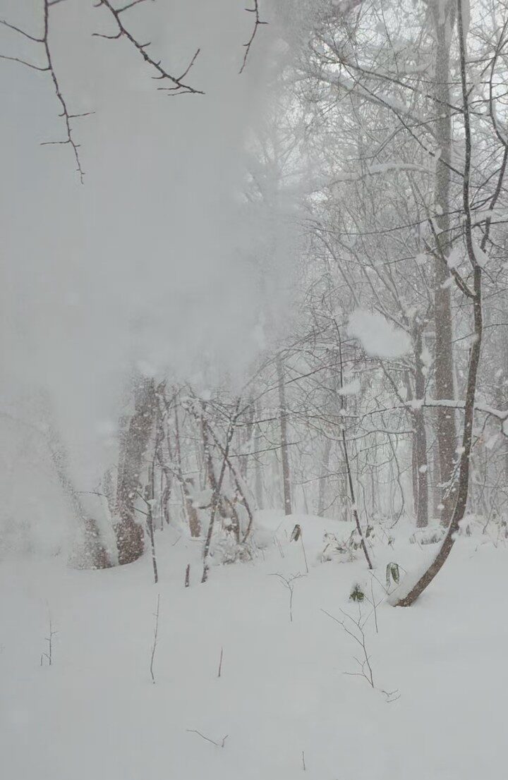 札幌に大雪警報発令