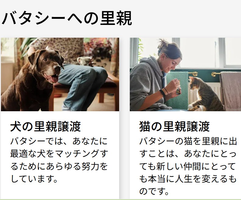 バタシー・ドッグ＆キャット