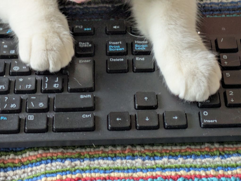 ブログ担当は、猫