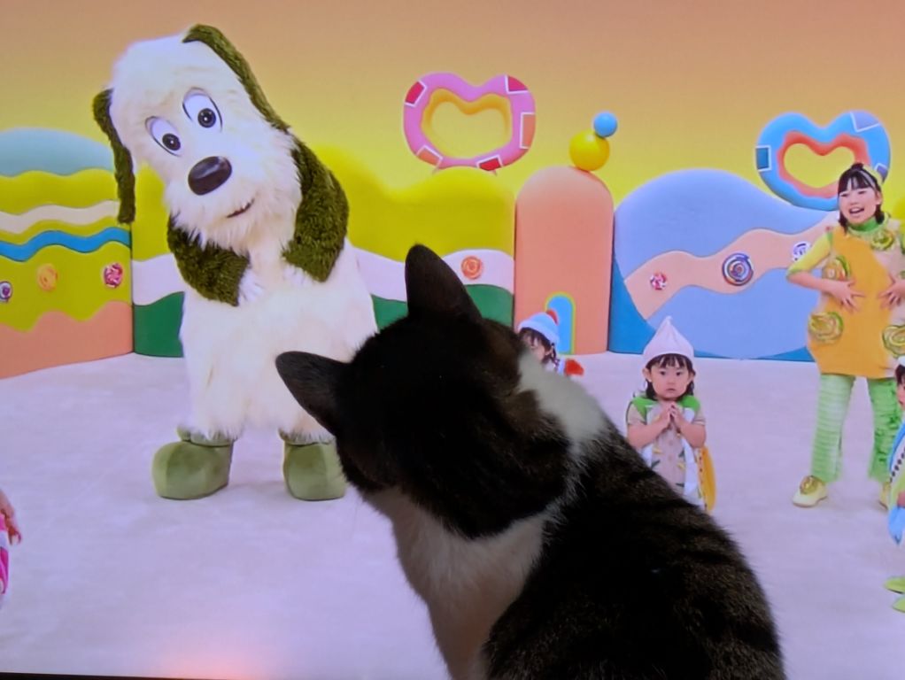 ブログ担当は、猫