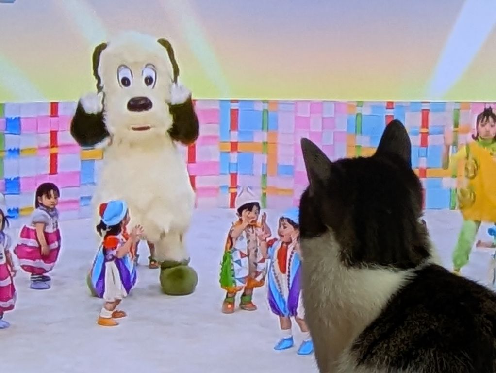 ブログ担当は、猫