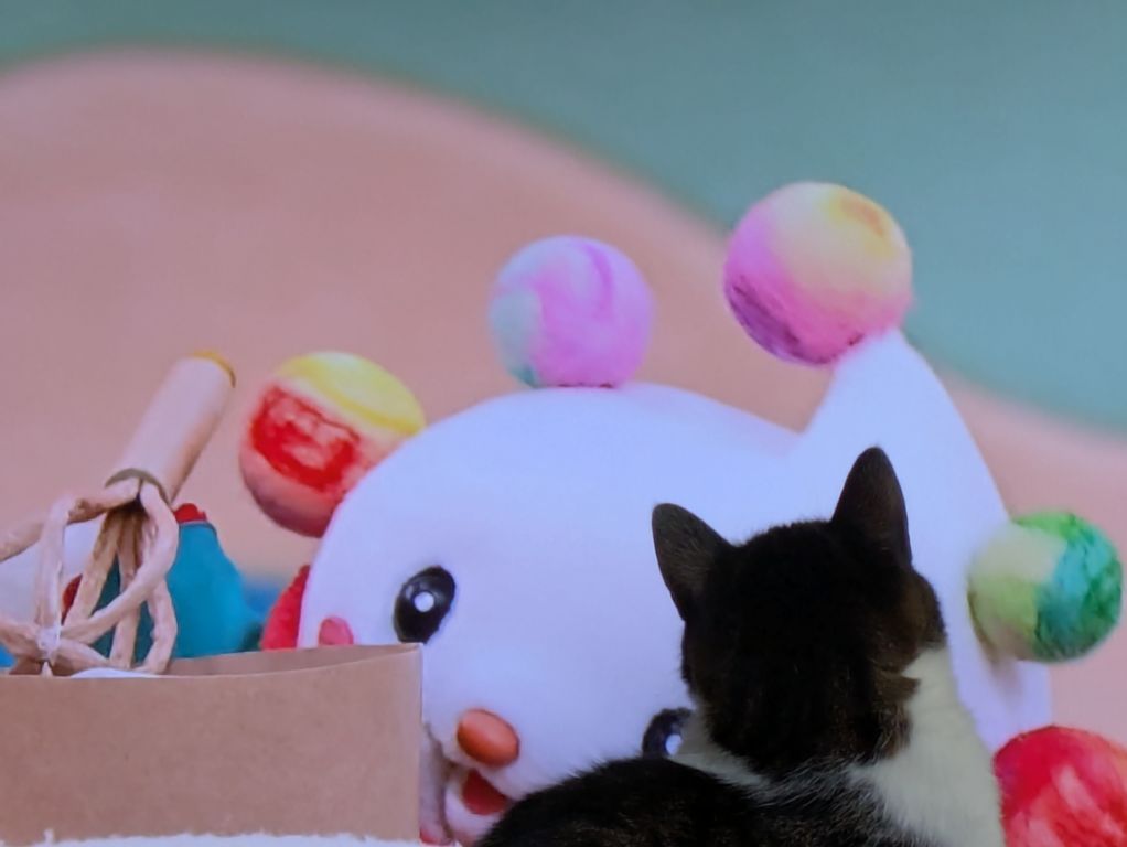 ブログ担当は、猫