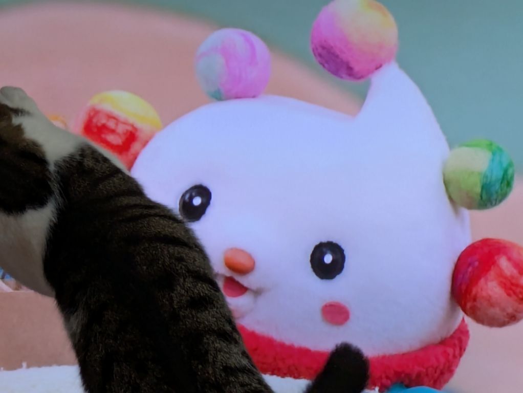 ブログ担当は、猫