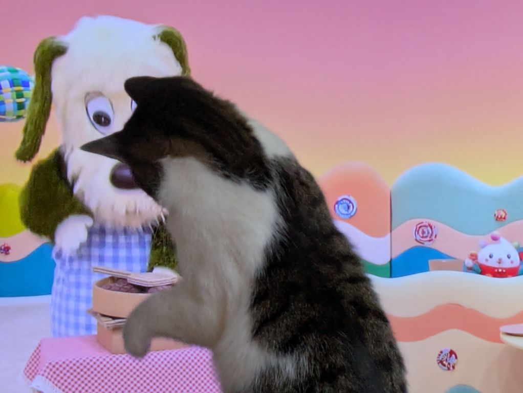 ブログ担当は、猫