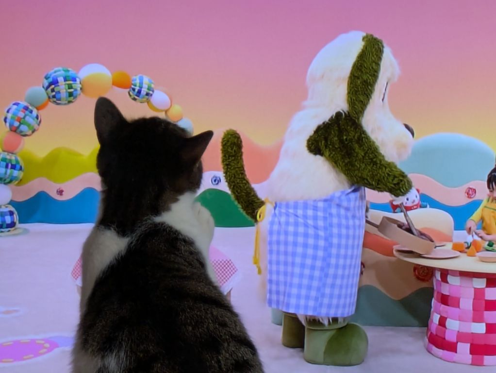 ブログ担当は、猫