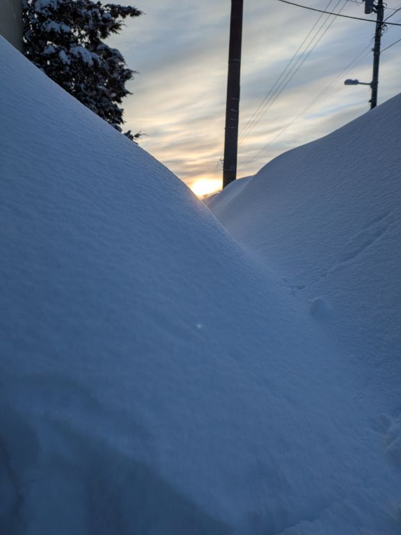 大雪の後の除雪