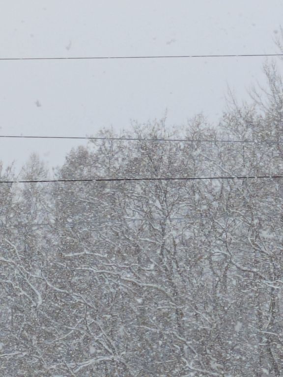 雪の旧暦大晦日