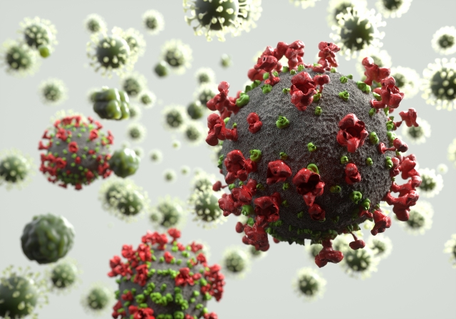 インフルエンザ