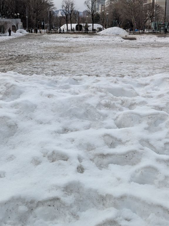 啓蟄の大通公園