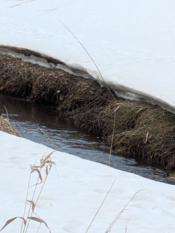 雪解けの川
