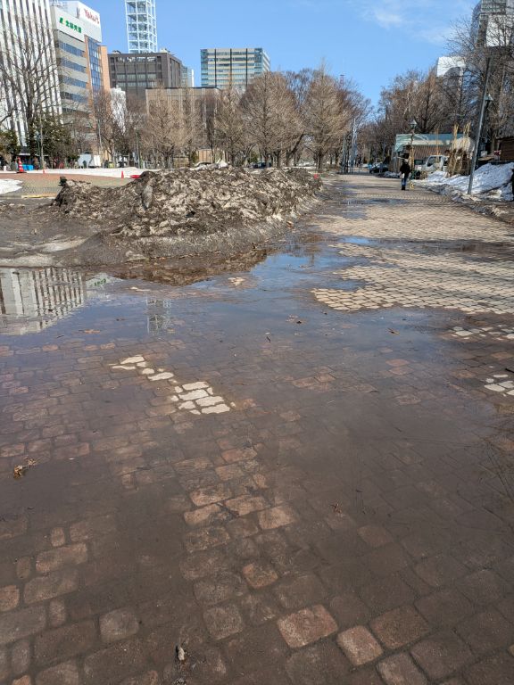 雪解けの大通公園