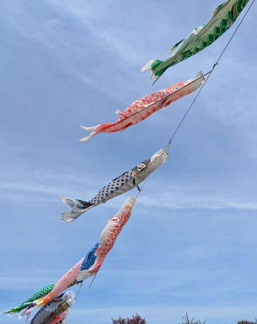 こいのぼり