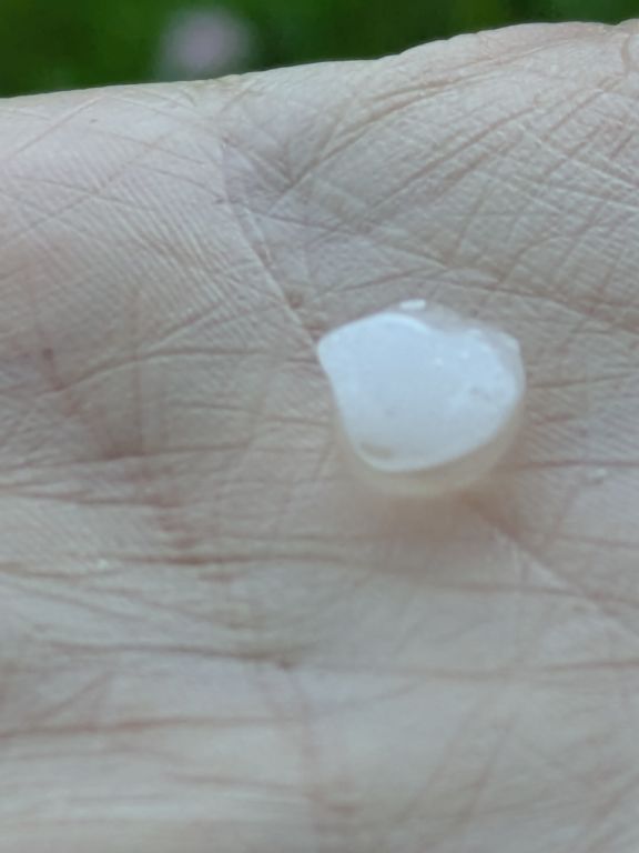 雹の粒