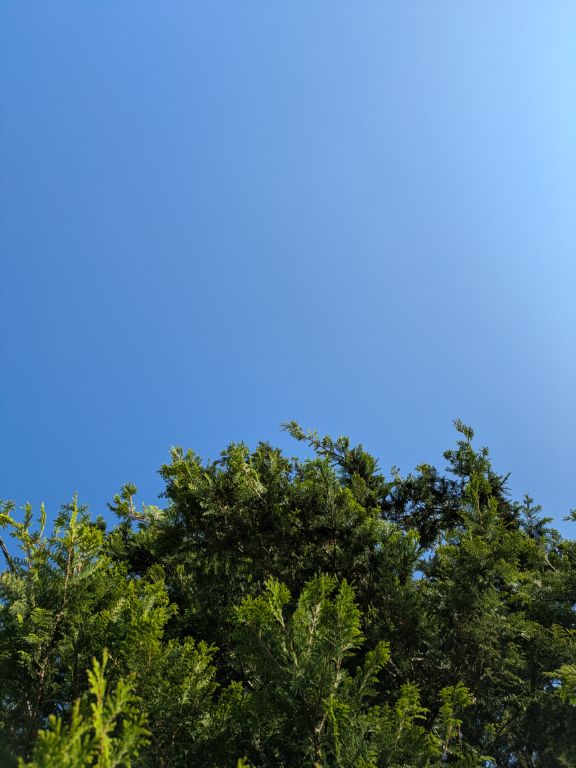 快晴の朝