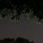 夜の雨の雫