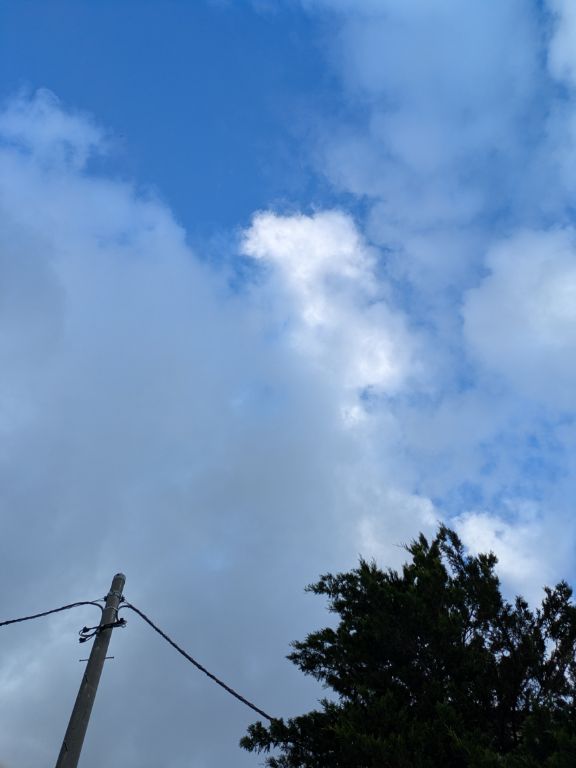 秋の空