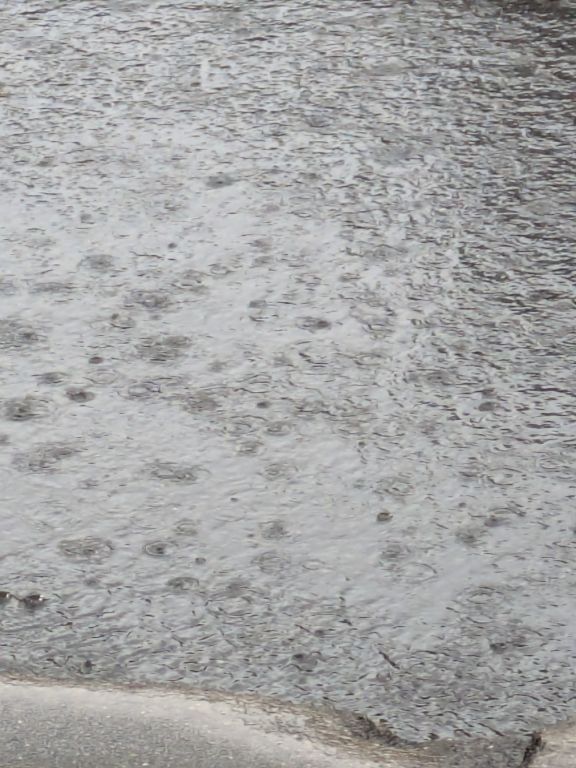 秋の雨と歩道