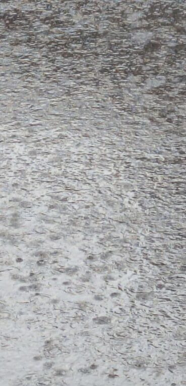秋の雨と歩道