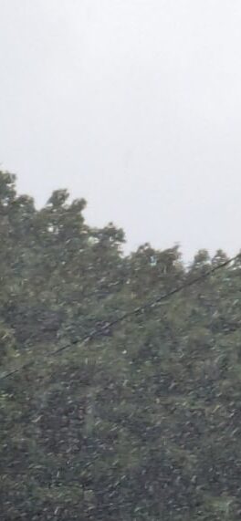 激しい雨