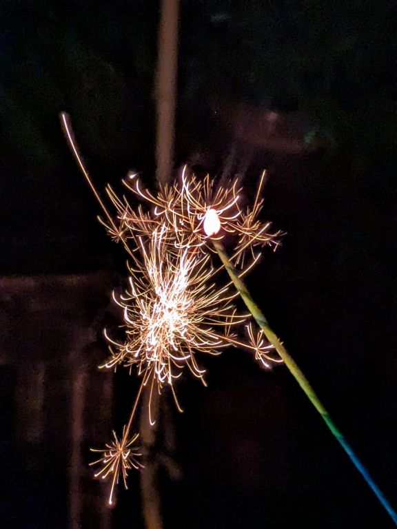 線香花火 牡丹