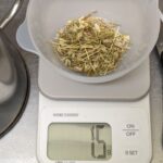 生薬センブリ