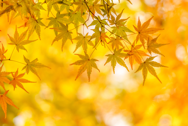 霜降