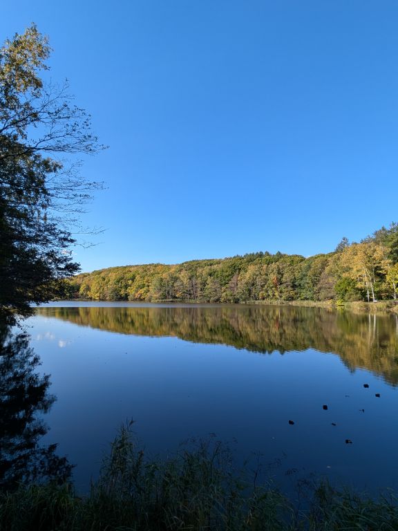 西岡水源地
