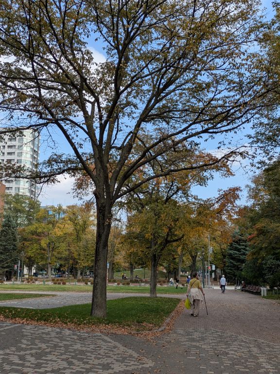 大通公園