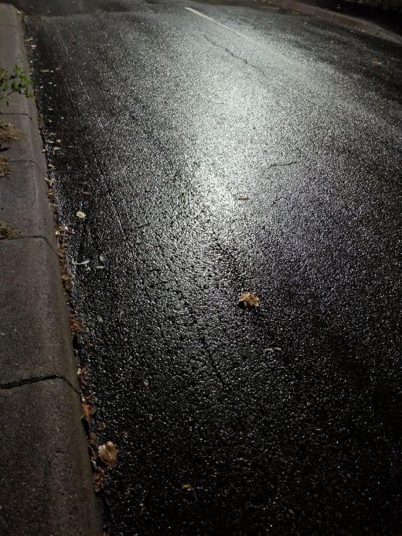 初雪の路面