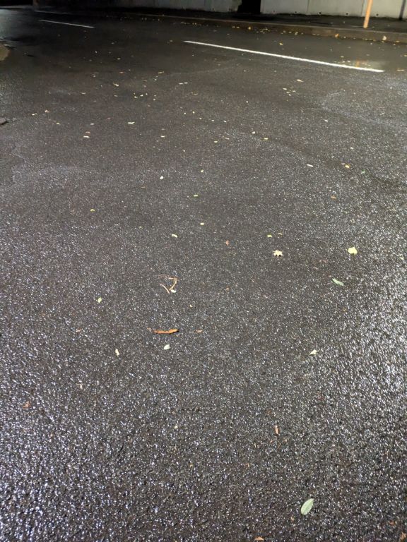 初雪の路面
