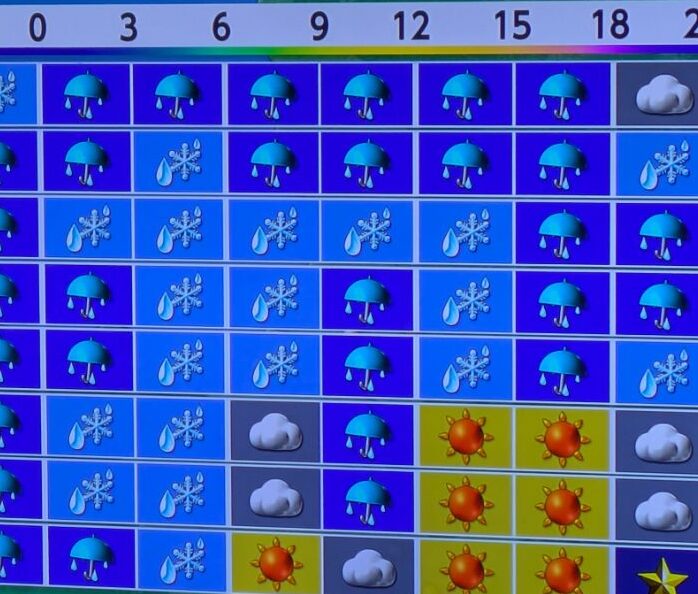 初雪の路面